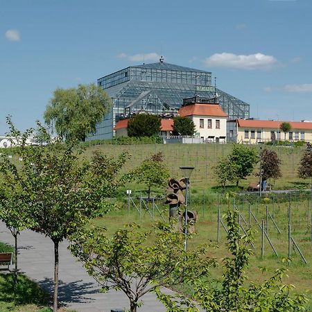 W12 Home Station - Apartement Greenpink Zielona Góra Eksteriør bilde