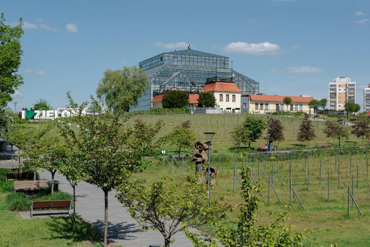 W12 Home Station - Apartement Greenpink Zielona Góra Eksteriør bilde